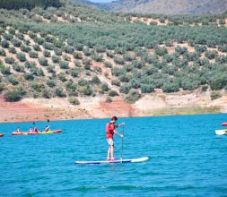 paddle surf