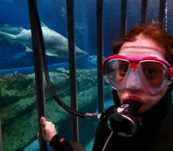 Inmersión en jaula con tiburones dentro del Acuario de Roquetas de mar