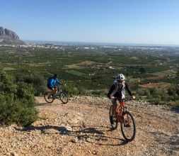 MOUNTAIN BIKE