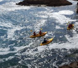 KAYAK