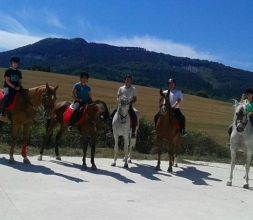 Paseos a caballo