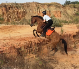 Aventuras a caballo en Huelva