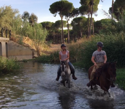 Paseos a caballo en El Rocio