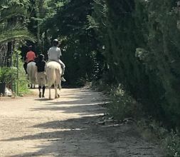 Paseos a caballos