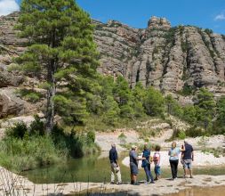 Excursiones de interpretación ambiental