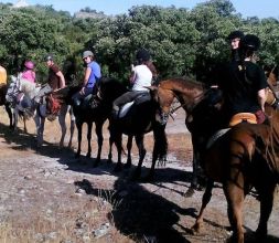 Paseos a caballo