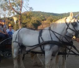 Paseo en familia