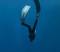 Lassdive Apnea Descenso