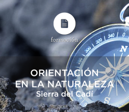 Cursos de Orientación