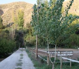 Entrada y pista del Club