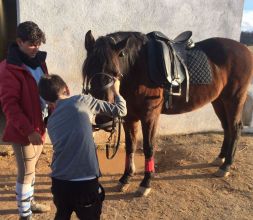 Preparación de un caballo