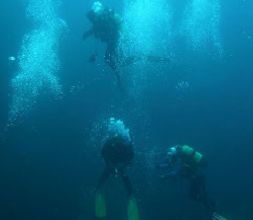 Arvalis Buceo