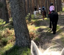 paseo a caballo por la sierra de guadarrama