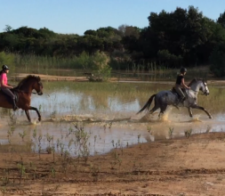 Montar a caballo en Doñana