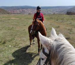 Rutas a caballo en Sigüenza