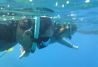 Snorkel en las Islas Medas