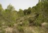 Campo de Paintball La Selva