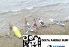 Paddle Surf