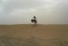 Rutas en quad