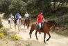 Paseos a caballo