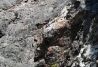 Escalada en Lanzarotre