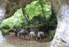 Excursión a caballo 2