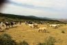 Montar a caballo 1