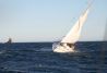 Paseos en velero