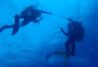 Cursos de buceo