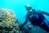 Cursos de buceo