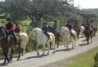 Rutas y excursiones a caballo