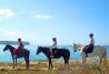Paseos a caballo