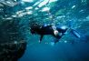 Snorkeling Illes Medes