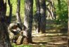 ¡Disfruta del paint ball como nunca!