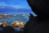 COAST-TREKKING
