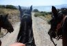 Rutas en caballo por Andalucía