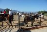 Hípica Caballo Blanco