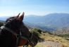 Paseos en caballo en Las Alpujarras