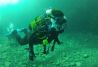 Buceo Canarias