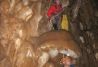 Espeleologia- Cursos