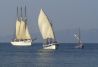 Paseos en barco en la Costa Brava