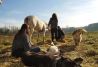 Perros, caballos y hombres en harmonía