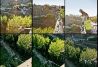 Adrenalina Libre-Andalucía Bungee Jump