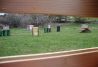 Paintball