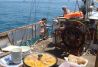 Con baño y paella a bordo