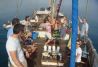 fiesta - Team building