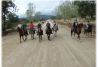 Cordel de Los Llanos