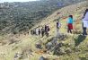 Nordic Walking