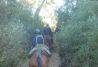 Rutas a caballo