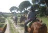 Paseos a caballo